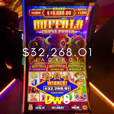 Estatísticas Crash Games Dw8